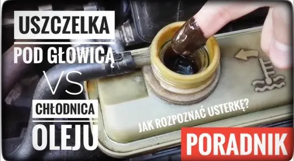 Chłodnica oleju czy uszczelka pod głowicą - jak uniknąć kosztownych napraw?